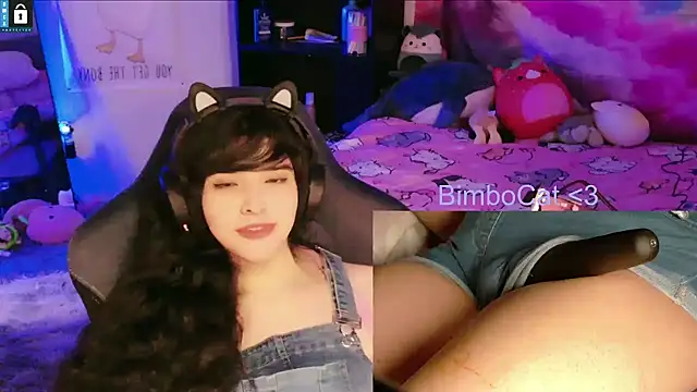 BimboCat 웹캠 쇼