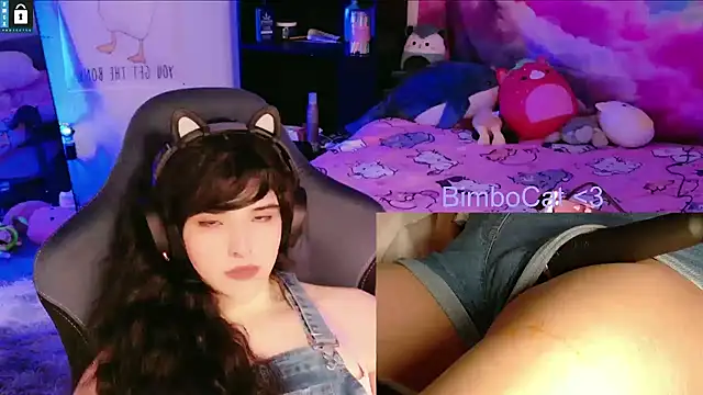 BimboCat live XXX chat