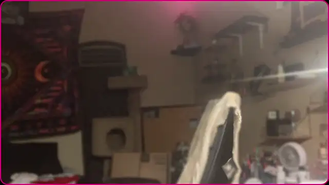 Chat +18 de spunlikecottoncandy ao vivo