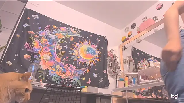 دردشة incognimeow الجنسية المباشرة