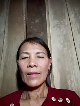 toyo_668n Webbikameraesitys