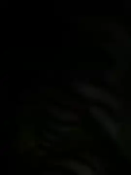 meekpatidar's Live XXX Chat