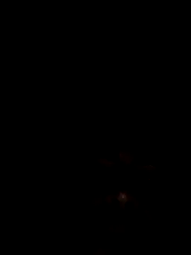 Chat +18 de Joseerinaldo99 ao vivo