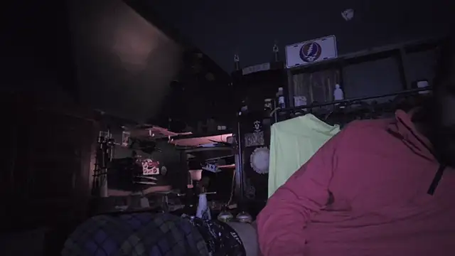 Show webcam de charactrzero