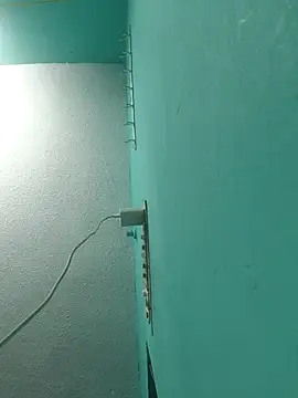 Show Webcam de Villageanuty