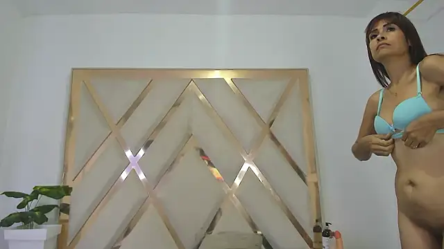 Selenaasm Pertunjukan Webcam