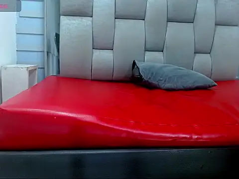 WilThePasive 웹캠 쇼