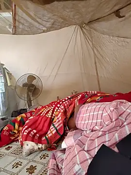 PIG_FUCKER_DADDY Webcamshow