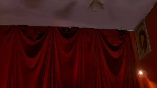 عرض كام VicenteFerrer