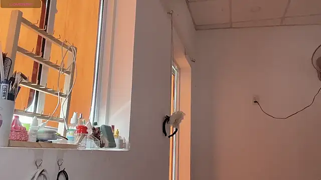 Tieu-May 现场XXX聊天