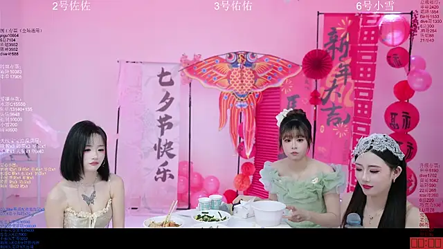 ATY1314 – Kamerová šou