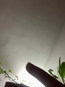 LauPolett – Live XXX-chat