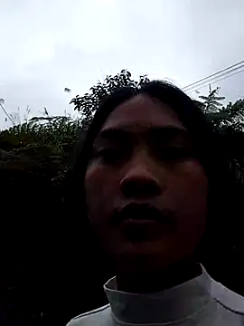 Hoa-tuylip Pertunjukan Webcam