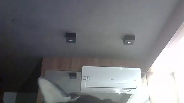 SkinnyKitten élő XXX-chatje