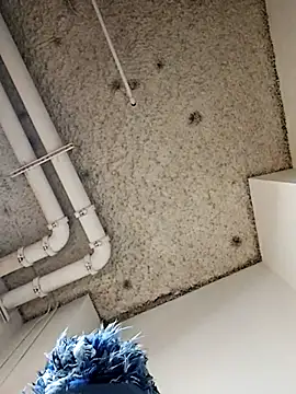 DarkSkinStroker Adlı Modelin Canlı XXX Sohbeti