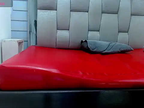 WilThePasive – Kamerová šou