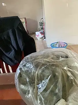 Phale2x Chat XXX live