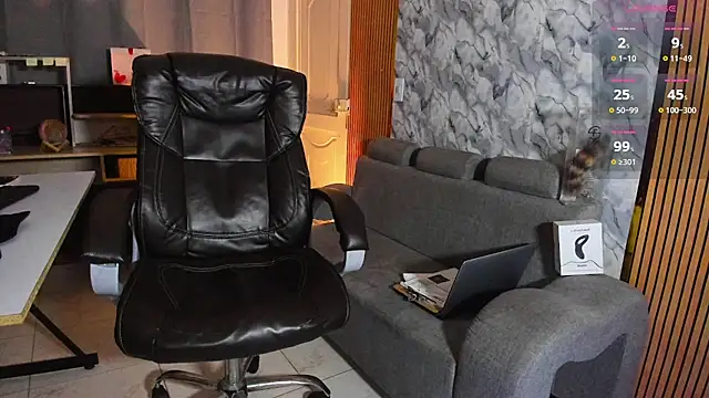 โชว์เว็บแคมของ Hideintheoffice