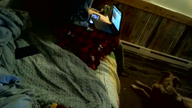 Dalton2288 Chat XXX in diretta