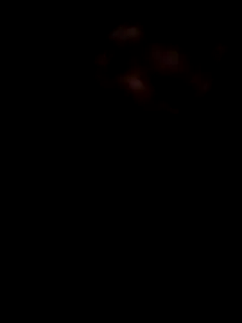 Lexwelll 라이브 XXX 채팅