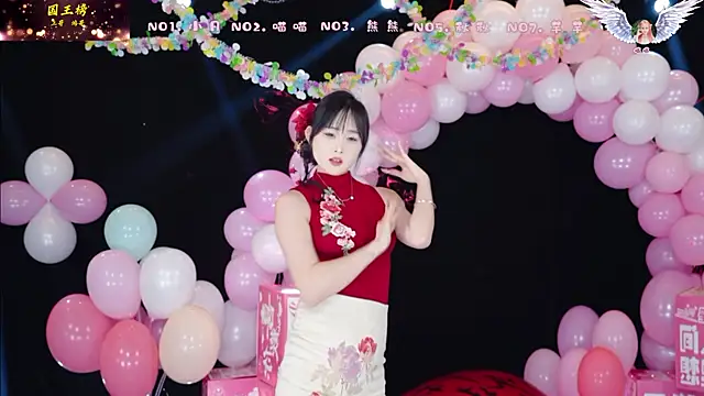 Show de webcam de YB-001