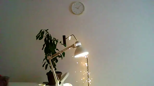 Ms-Lust1- Live XXX-chat