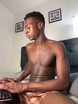 noah_johesn Webbikameraesitys