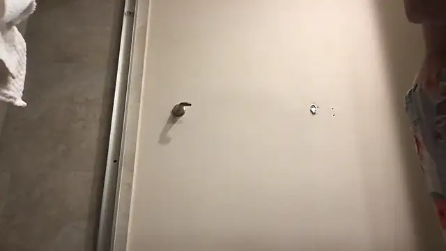 Chat XXX Live BigGuyMuscle