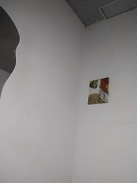 Ethan_Briggs_ Show Webcam