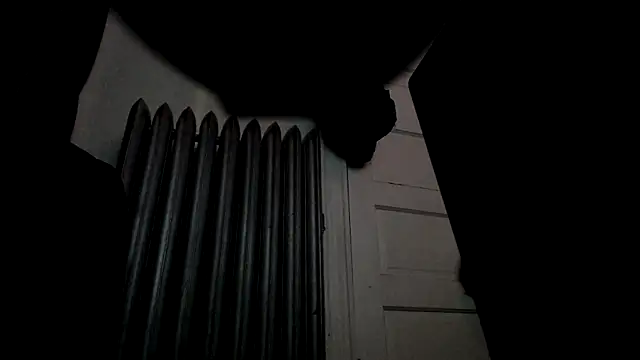 Sexdemonfrfr Adlı Modelin Canlı XXX Sohbeti