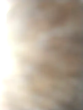 jellydicks Live XXX-Chat