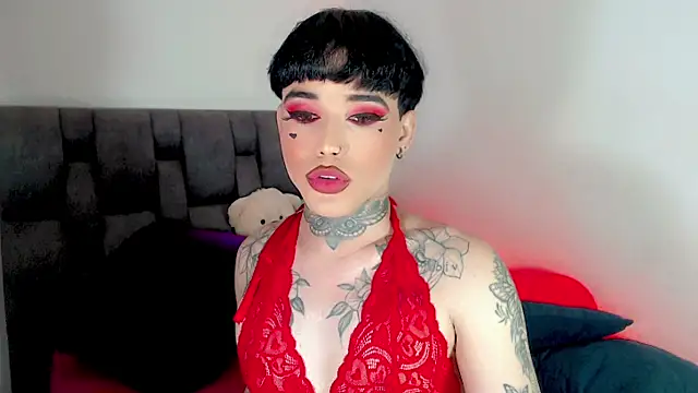 little_star_porn 웹캠 쇼