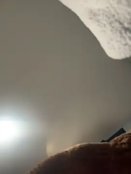 SilvaGF229 即時 XXX 聊天