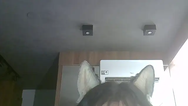 SkinnyKitten Obrolan Langsung XXX