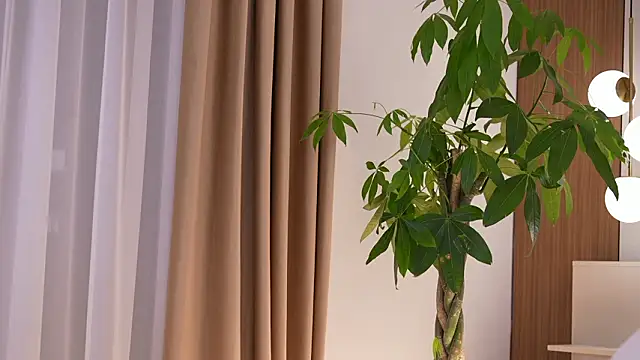 Chatroom XXX en direct de DoviaClaire