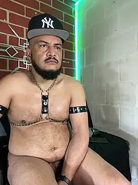 Chat +18 de the_master_foal_ ao vivo