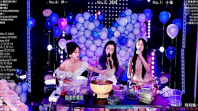 ZZ00033S Webcam show