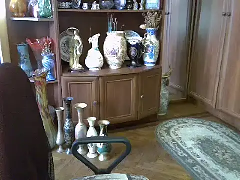 عرض كام ElenaZed