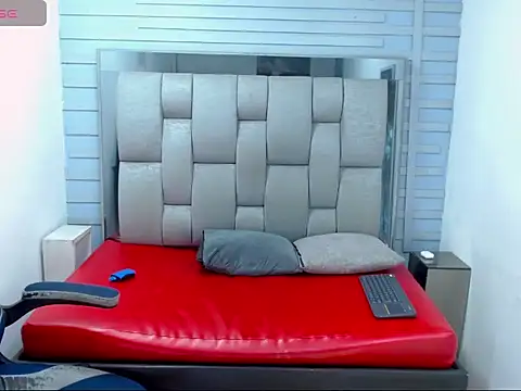 Show webcam de WilThePasive