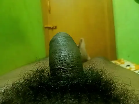 Ranjet01 – Live XXX-chat