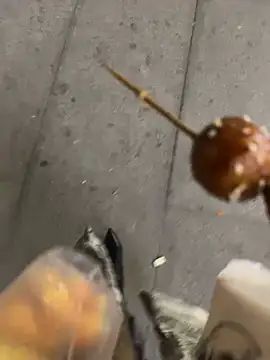 petoys 网络视讯表演