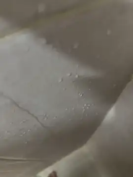 عرض كام kitysuu