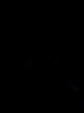 Chat XXX ao vivo de loyalboy_0052