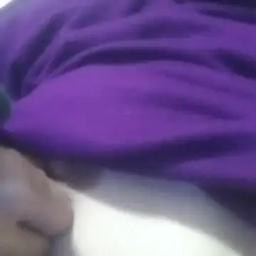 Chat +18 de Razan2024 ao vivo