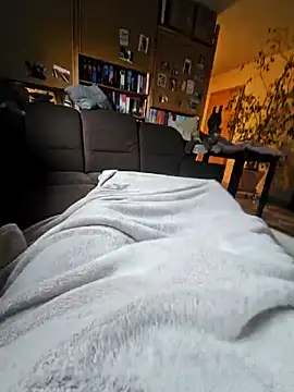 Gris-shadow Webcam-Show