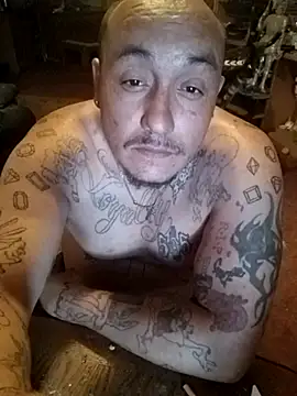 Dick4yourholes élő XXX-chatje