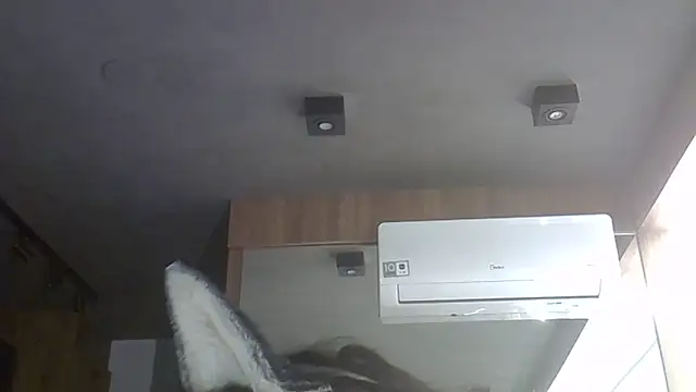 Chat XXX ao vivo de SkinnyKitten