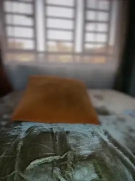 ScarletMuseX's Webcam Show