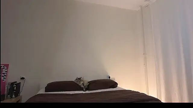 Chat XXX ao vivo de Milky___Way