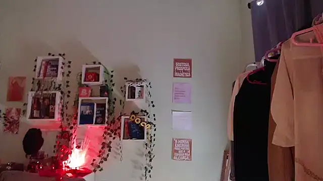 BeellyDance – Kamerová šou